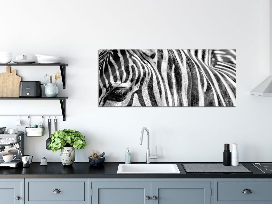 Zebra Porträt, Glasbild Panorama