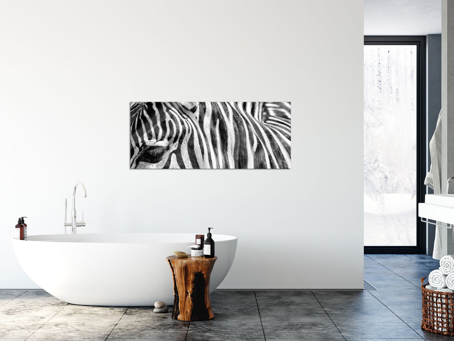 Zebra Porträt, Glasbild Panorama