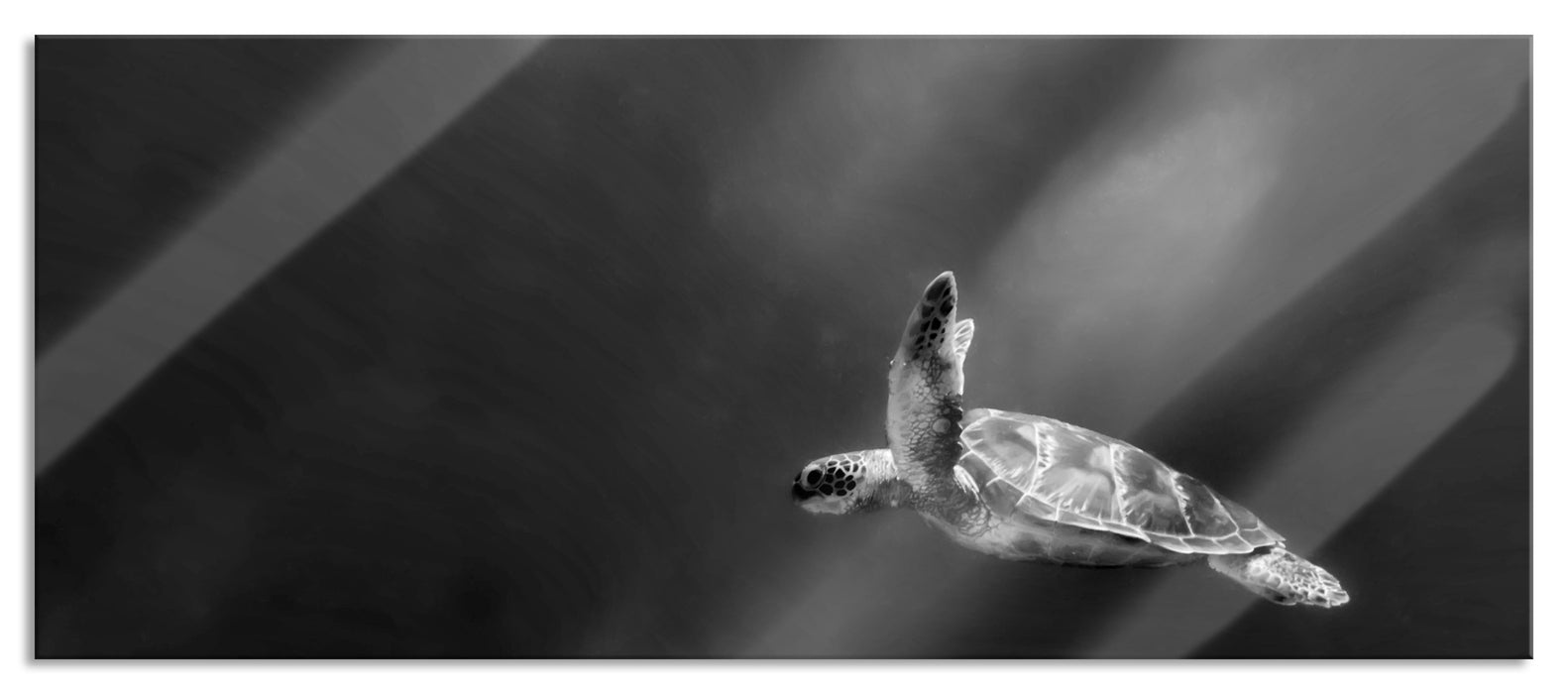 Pixxprint Alte Schildkröte im Meer, Glasbild Panorama