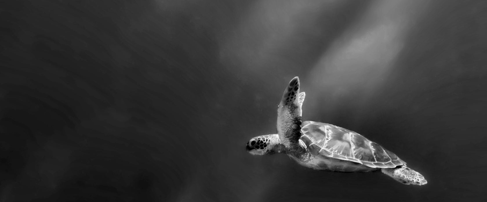 Alte Schildkröte im Meer, Glasbild Panorama