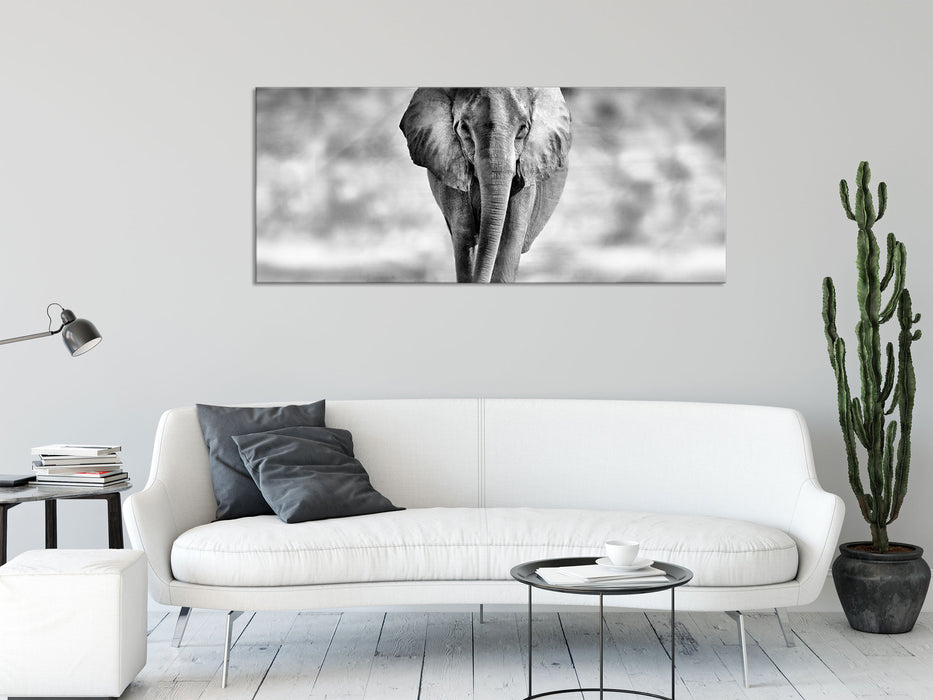 Einsamer Elefant Schwarz-Weiss, Glasbild Panorama