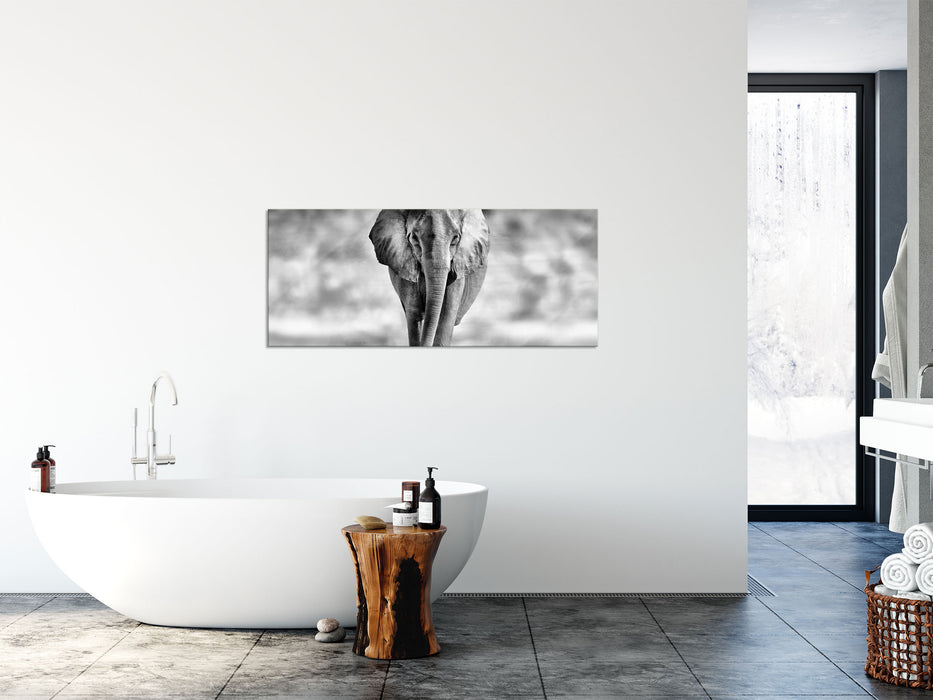 Einsamer Elefant Schwarz-Weiss, Glasbild Panorama