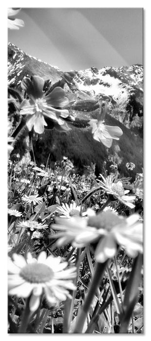 Pixxprint Wunderschöne Blumen Alpenwiese, Glasbild Panorama