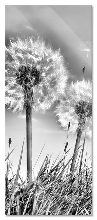 Pixxprint Pusteblumen auf Frühlingswiese, Glasbild Panorama