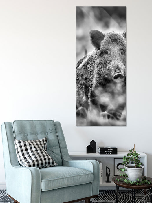 Wildschwein auf Wiese, Glasbild Panorama