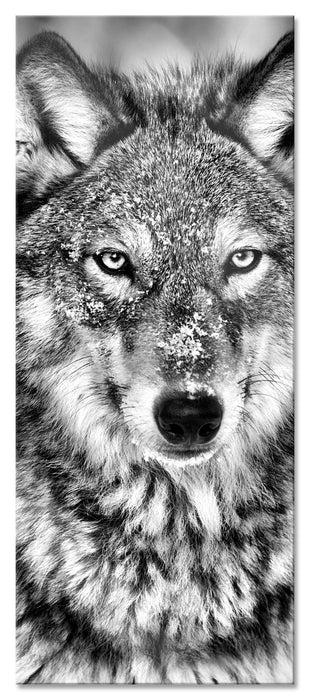 Pixxprint Wachsamer Wolf, Glasbild Panorama