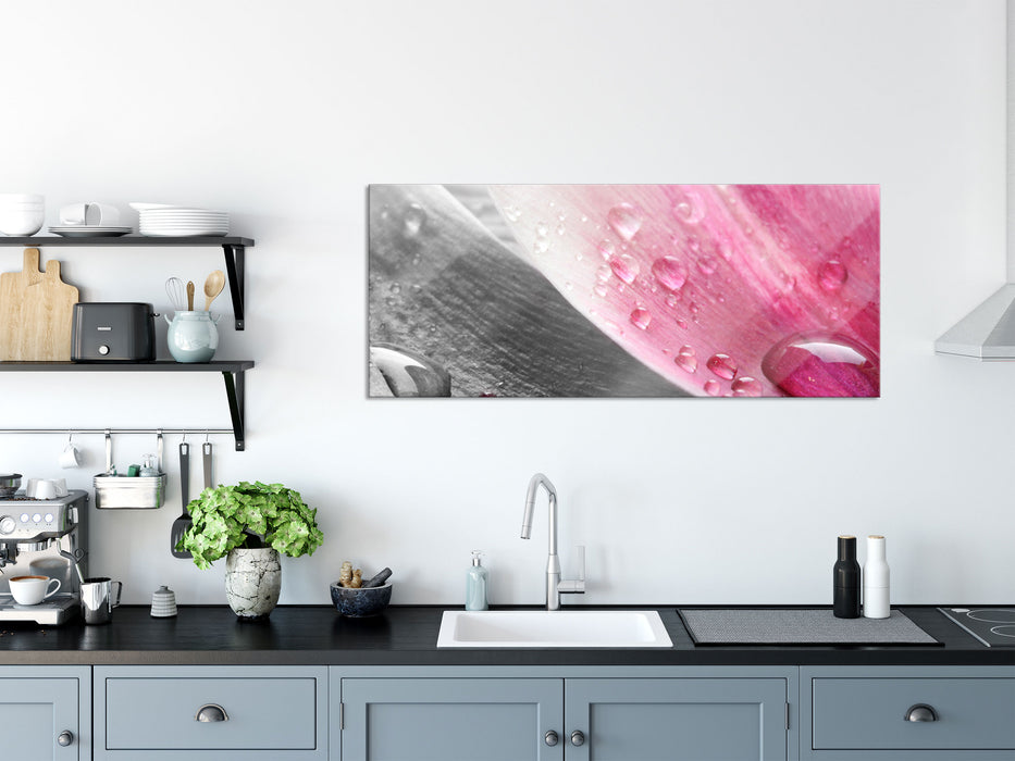 Tulpenblätter mit Wassertropfen, Glasbild Panorama