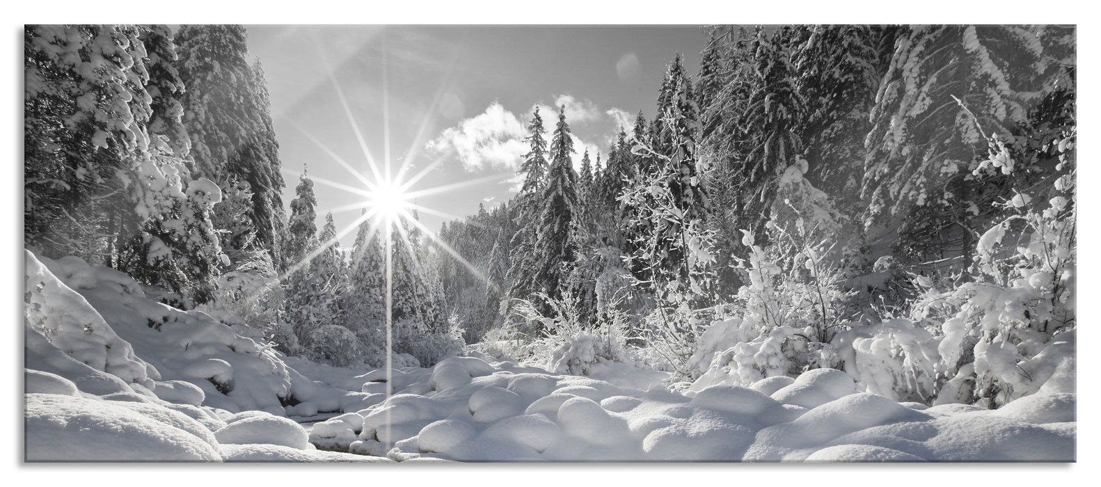 Pixxprint Sonnenstrahlen Wald, Glasbild Panorama