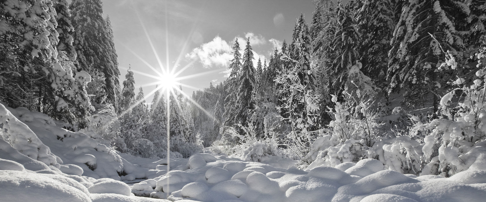 Sonnenstrahlen Wald, Glasbild Panorama