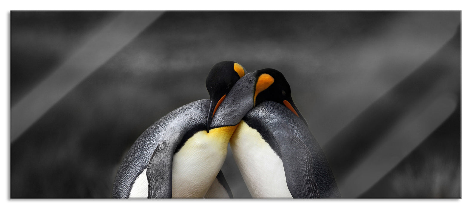 Pixxprint Pinguine in der Antarktis, Glasbild Panorama