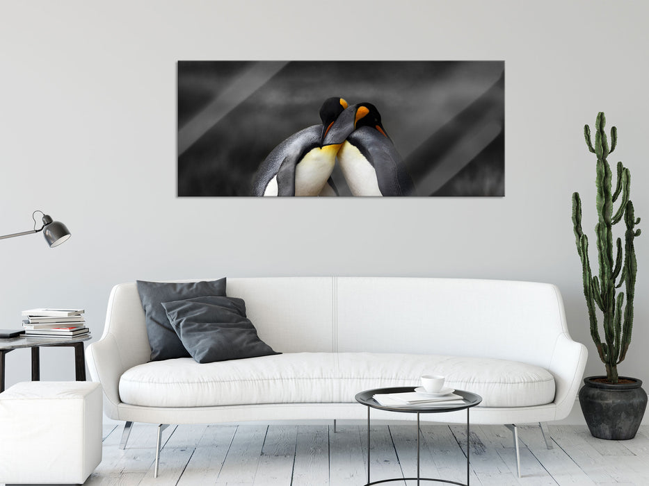 Pinguine in der Antarktis, Glasbild Panorama