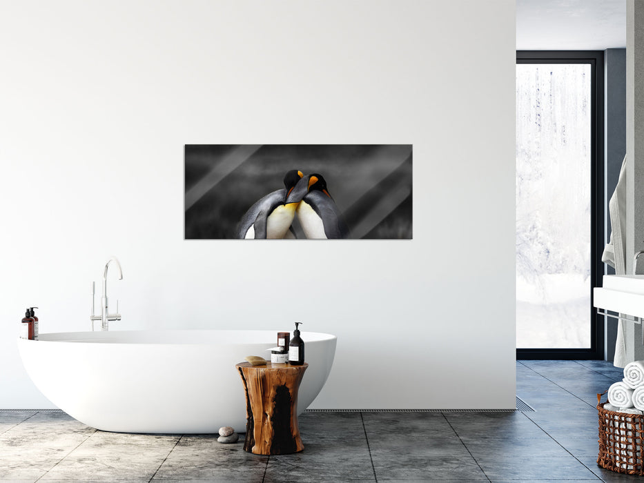 Pinguine in der Antarktis, Glasbild Panorama