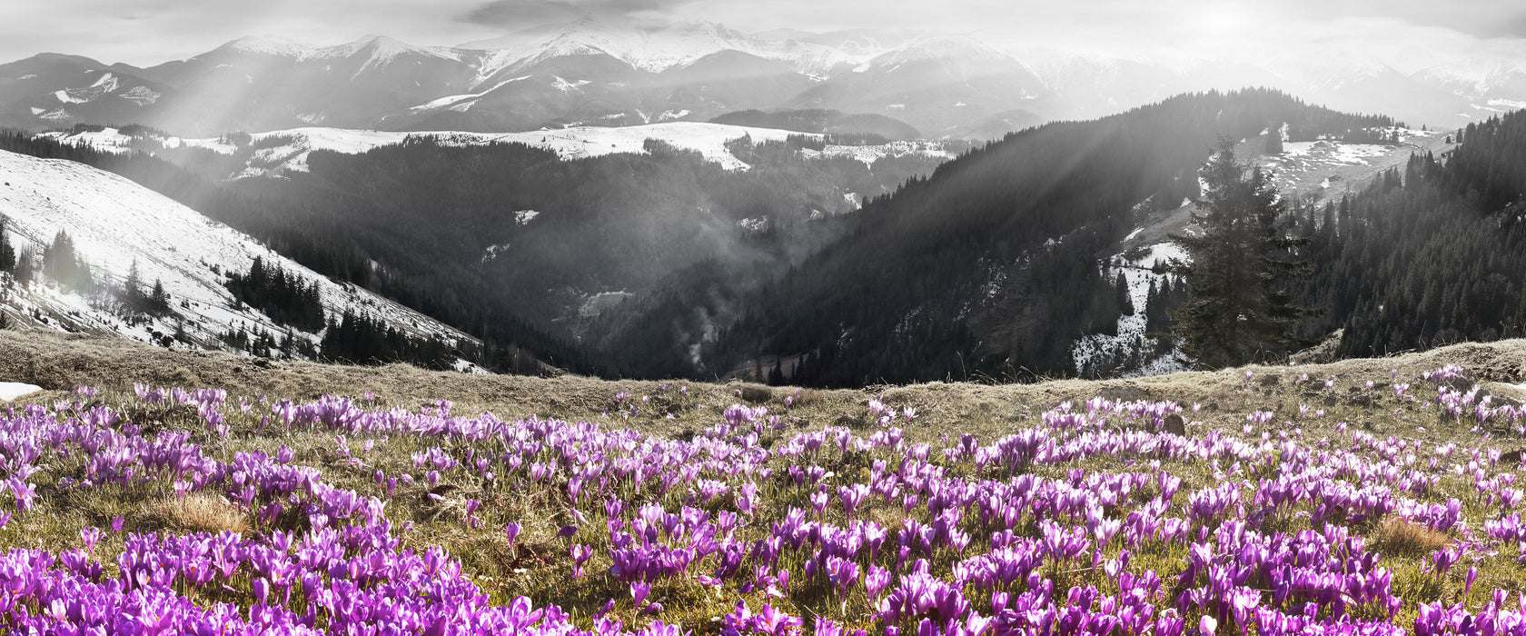 Berglandschaft Regenbogen, Glasbild Panorama