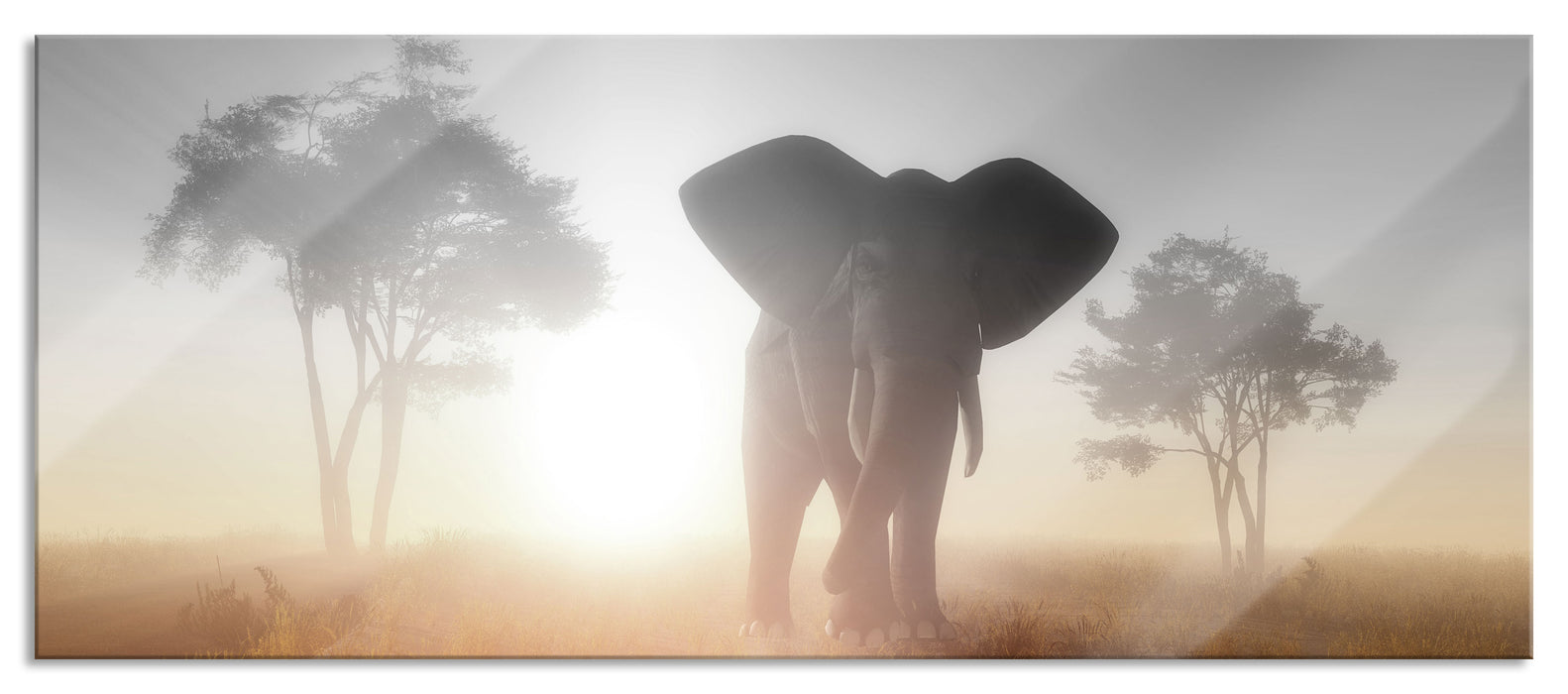 Pixxprint Elefant in der Wüste, Glasbild Panorama