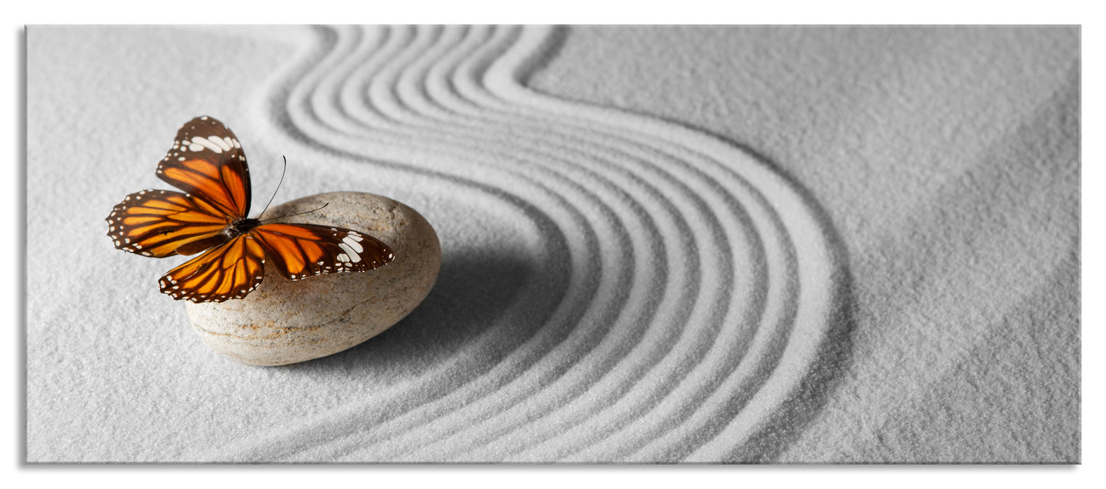 Zen Schmetterling, Glasbild Panorama