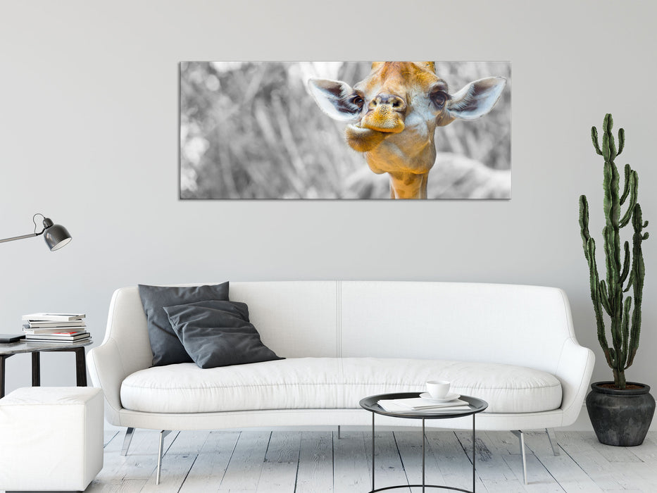 Giraffe in der Natur, Glasbild Panorama