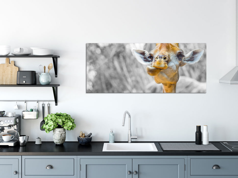 Giraffe in der Natur, Glasbild Panorama