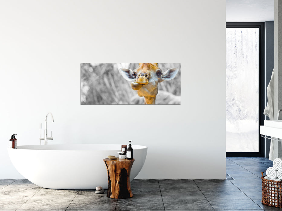 Giraffe in der Natur, Glasbild Panorama