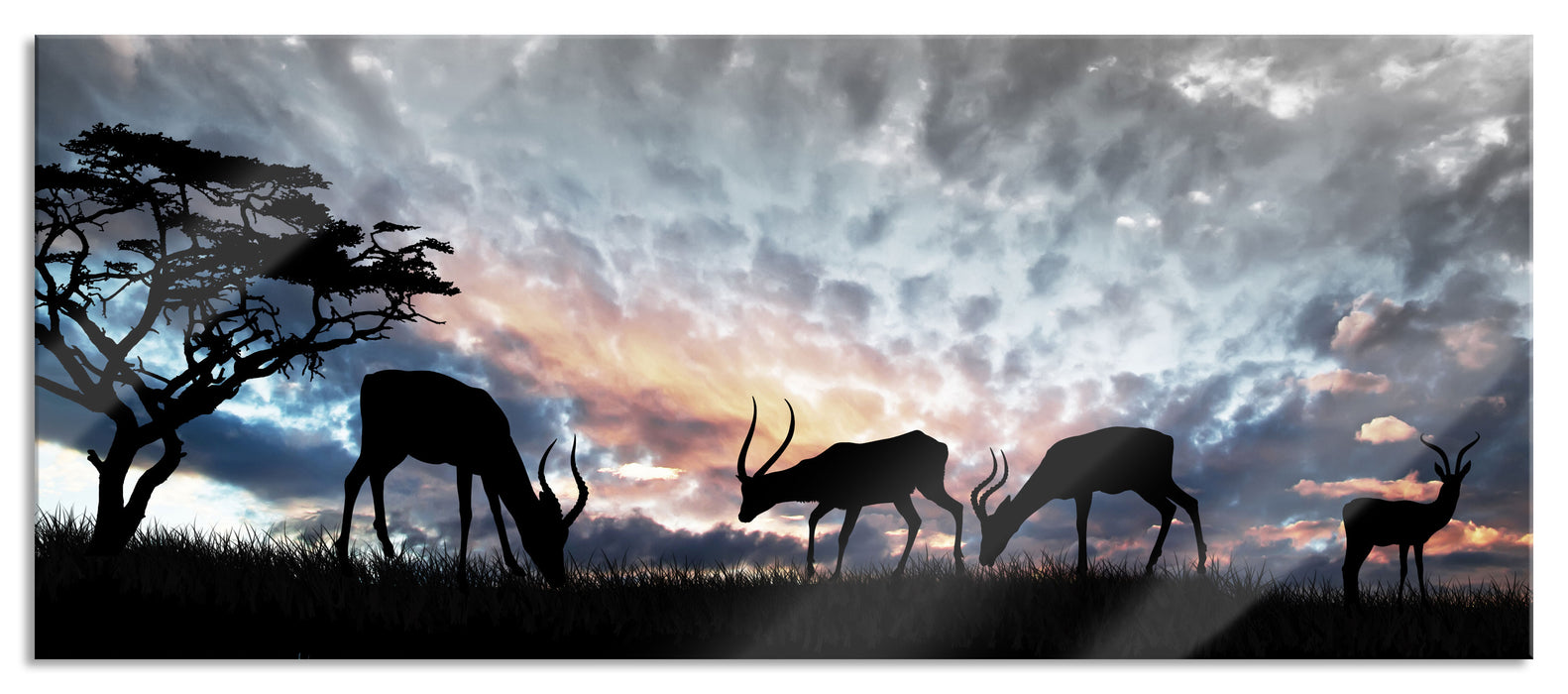 Pixxprint Tiere in der Natur, Glasbild Panorama