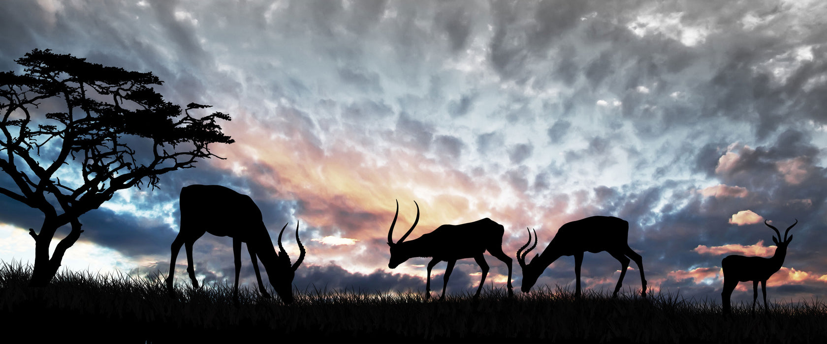 Tiere in der Natur, Glasbild Panorama