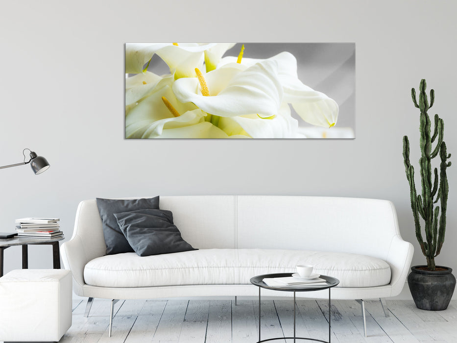 Wunderschöne weiße Calla Lilien, Glasbild Panorama