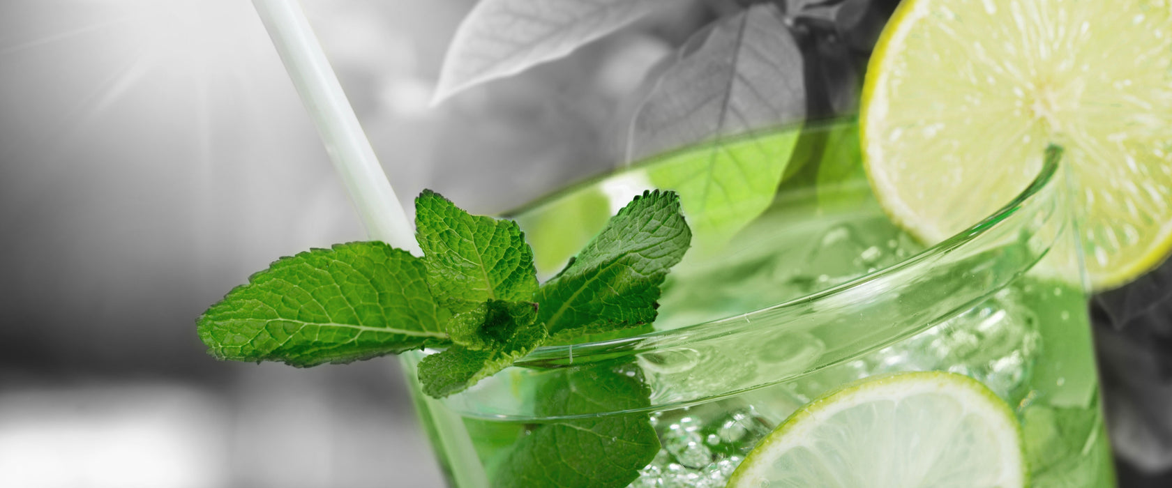 Erfrischender Mojito Cocktail, Glasbild Panorama
