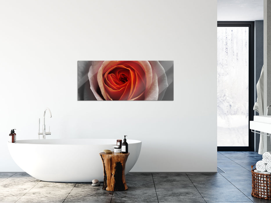 Detaillierte rote Rosenblüte, Glasbild Panorama