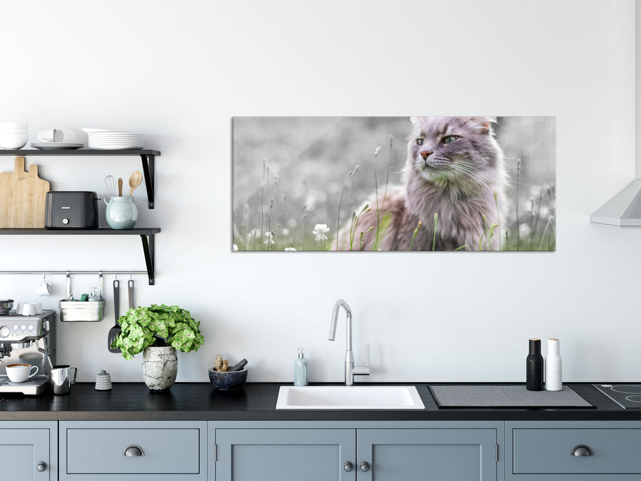 Katze in der Wildnis, Glasbild Panorama