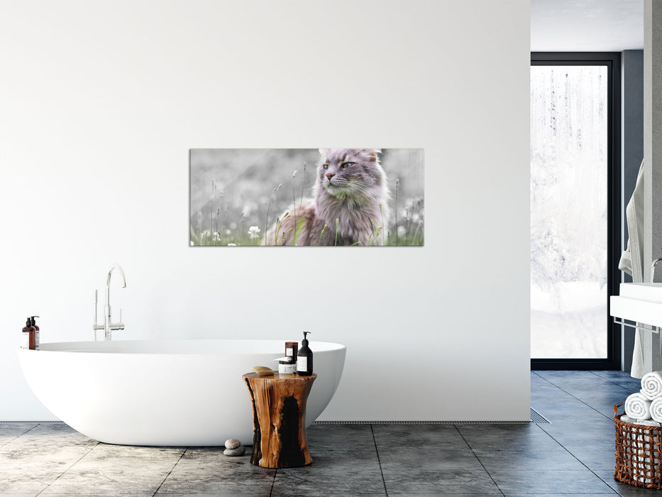 Katze in der Wildnis, Glasbild Panorama