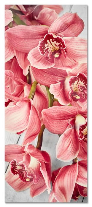 Pixxprint Rosane Orchideenblüten, Glasbild Panorama