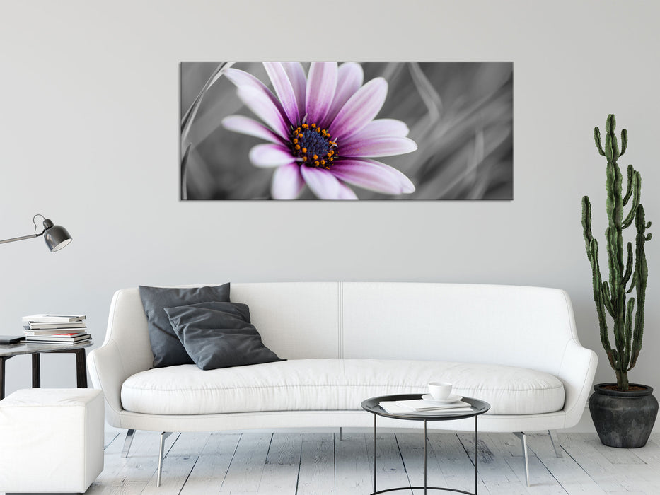 Blume in der Natur, Glasbild Panorama