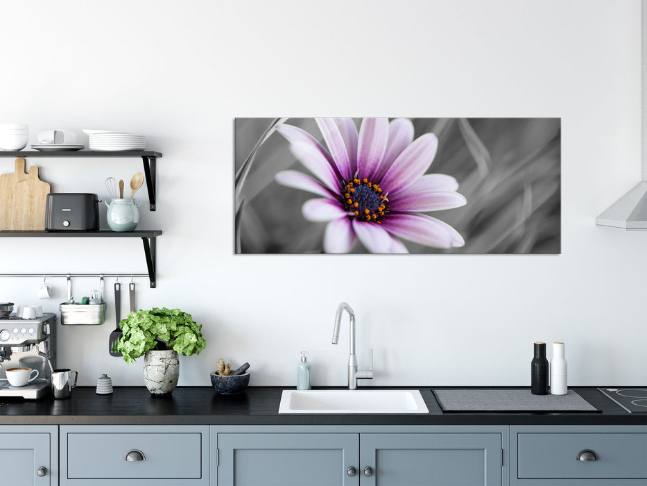 Blume in der Natur, Glasbild Panorama