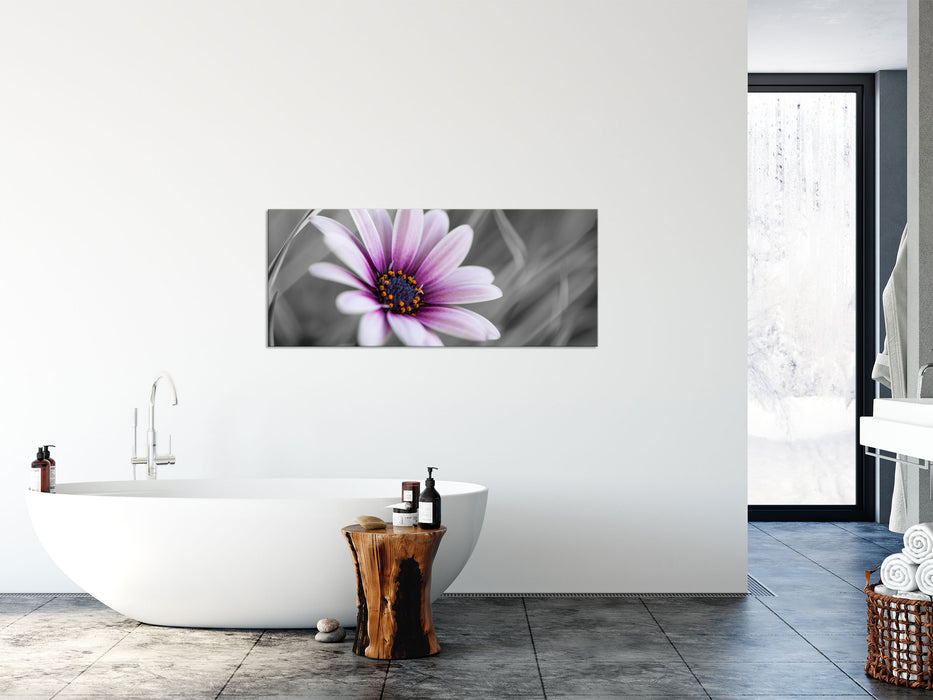 Blume in der Natur, Glasbild Panorama