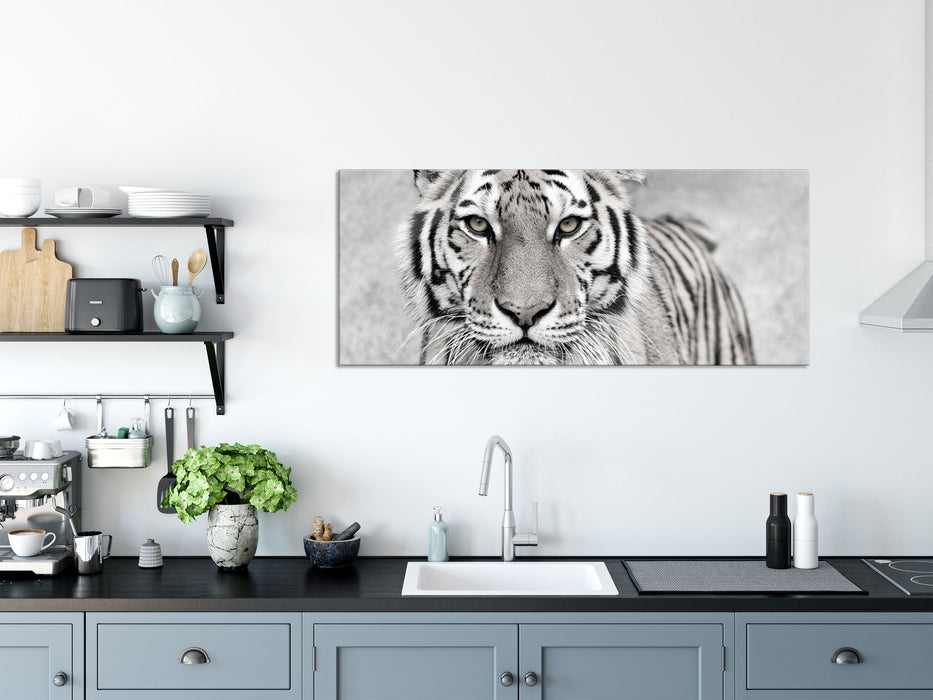 Anmutiger Tiger in, Glasbild Panorama