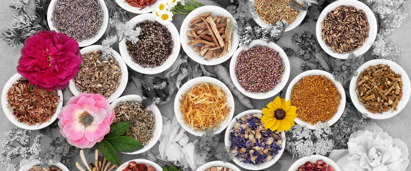 Heilende Kräuter und Blumen, Glasbild Panorama