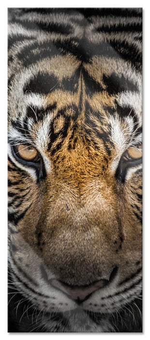 Pixxprint Tiger mit hellbraunen Augen, Glasbild Panorama