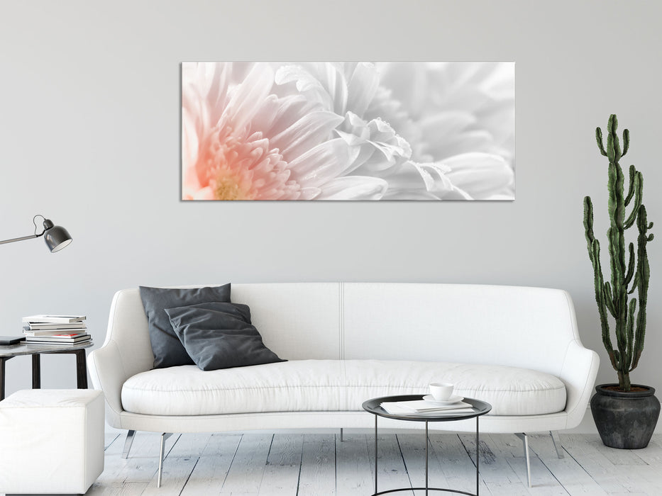 Gerbera-Blume, Glasbild Panorama