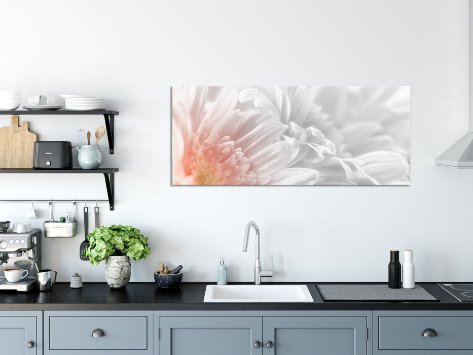 Gerbera-Blume, Glasbild Panorama