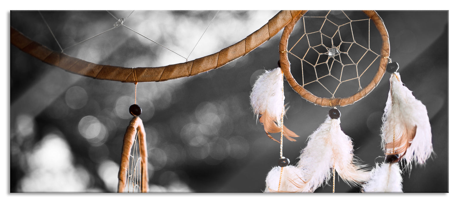 Pixxprint Traumfänger, Glasbild Panorama