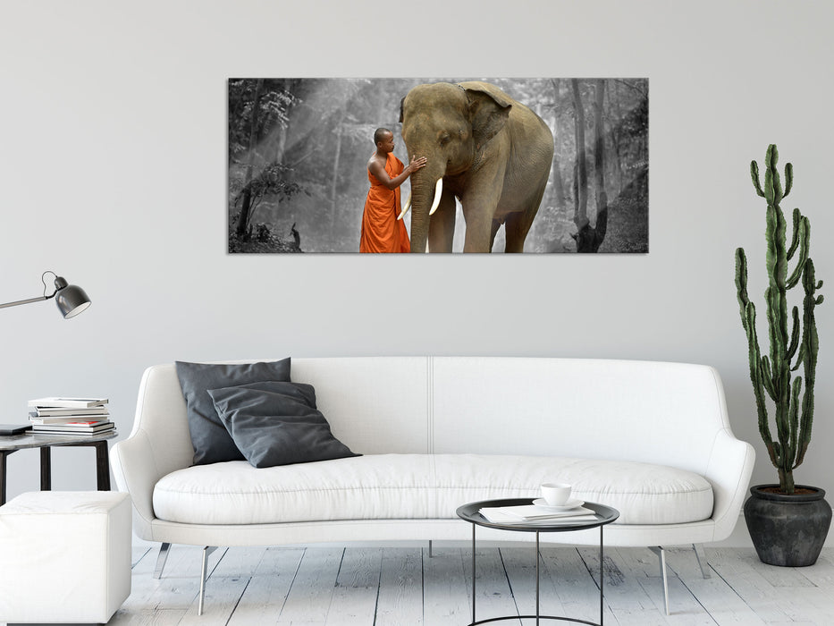 wunderschöner Elefant mit Mönch, Glasbild Panorama