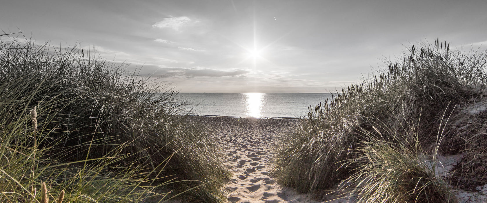 der Weg ins Meer, Glasbild Panorama