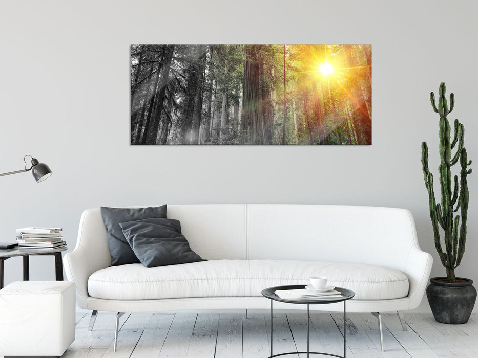 Wald bei Sonnenlicht, Glasbild Panorama