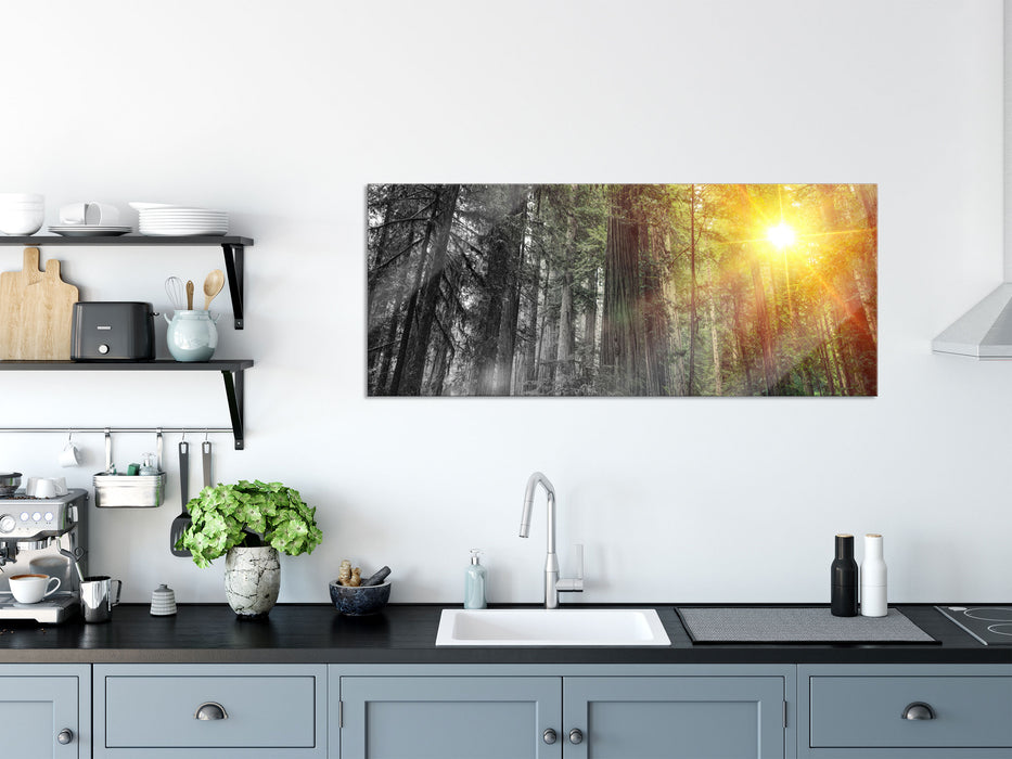 Wald bei Sonnenlicht, Glasbild Panorama