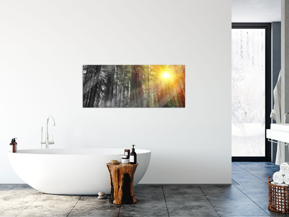 Wald bei Sonnenlicht, Glasbild Panorama