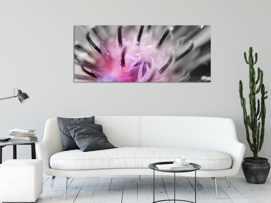 wunderschöne lila Blume im Fokus, Glasbild Panorama