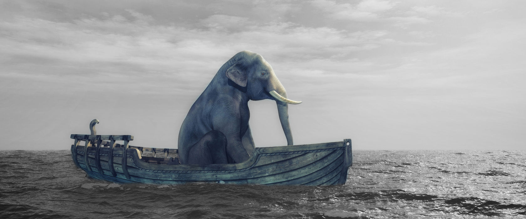 lustig sitzender Elefant im Boot, Glasbild Panorama