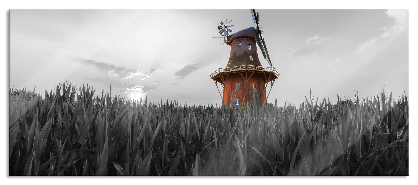 Pixxprint schöne Windmühle auf dem Feld, Glasbild Panorama