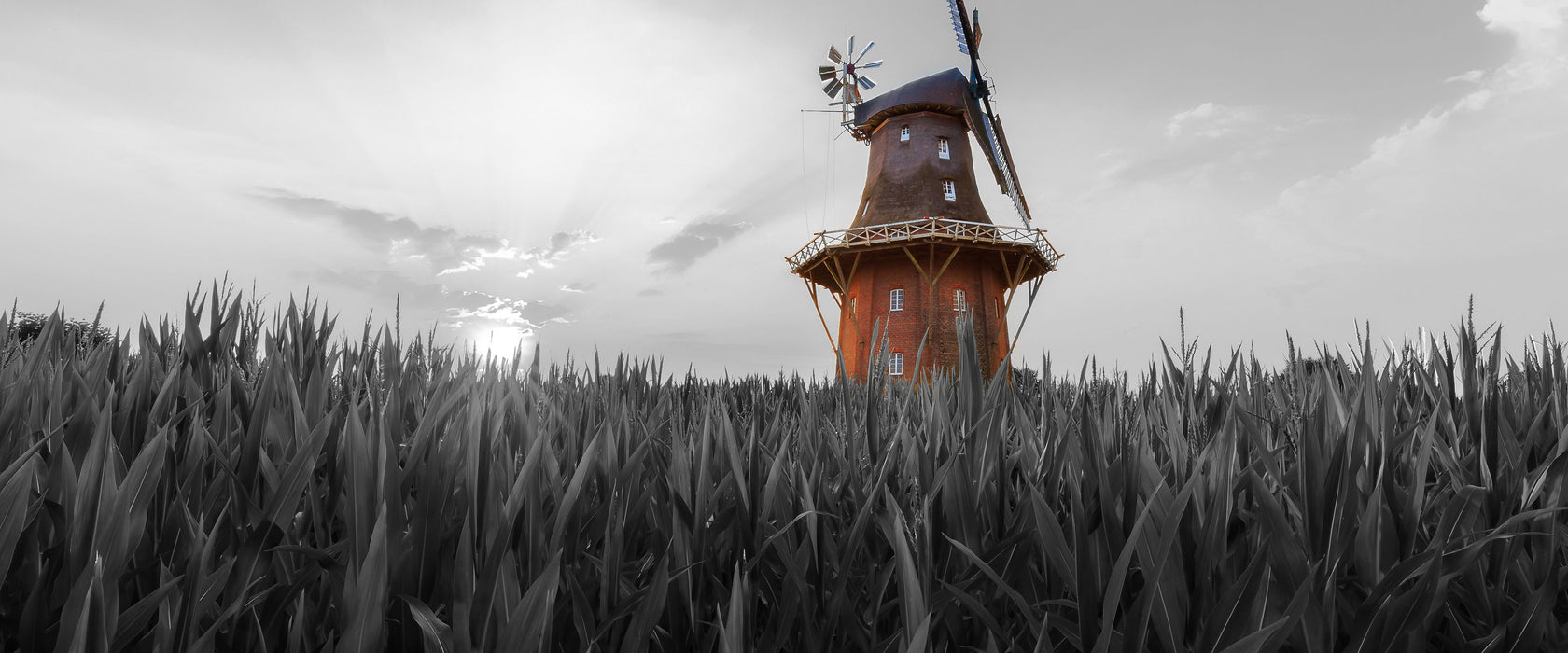 schöne Windmühle auf dem Feld, Glasbild Panorama