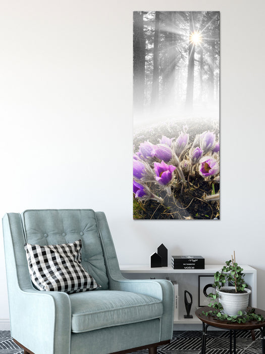 blühende Blumen im Wald, Glasbild Panorama