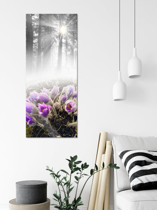 blühende Blumen im Wald, Glasbild Panorama